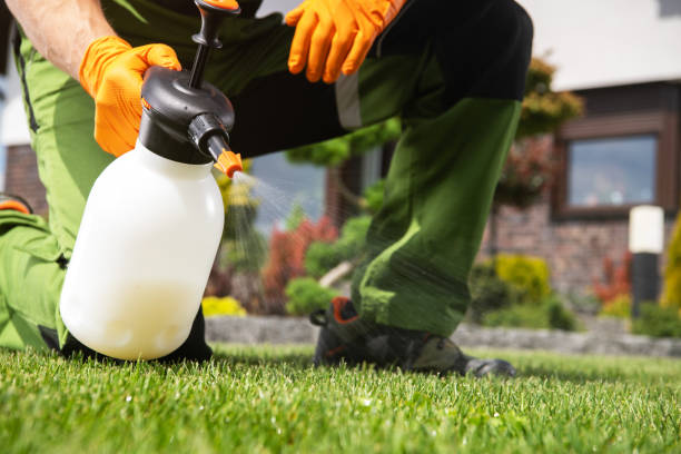 Best Termite Control Services  in Yankton, SD
