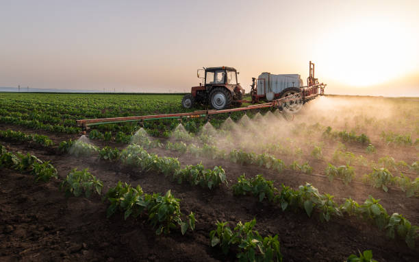 Best Ant Control Services  in Yankton, SD