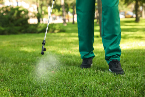 Best Best Pest Control Companies  in Yankton, SD