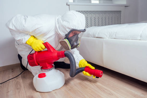 Best Affordable Pest Control Services  in Yankton, SD