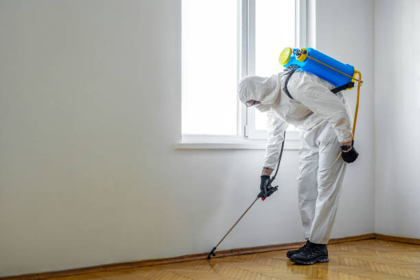 Best Pest Removal Services  in Yankton, SD