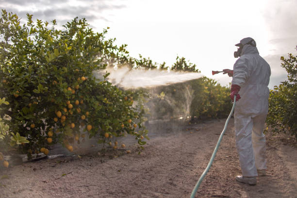 Best Local Pest Control Services  in Yankton, SD