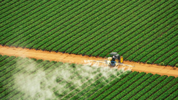 Best Pest Inspection Near Me  in Yankton, SD
