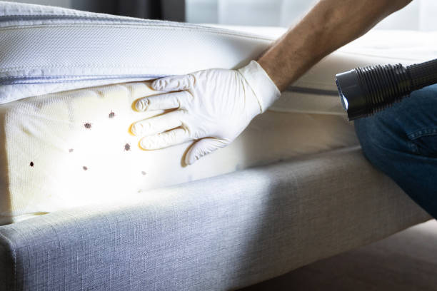 Best Pest Control for Homes  in Yankton, SD