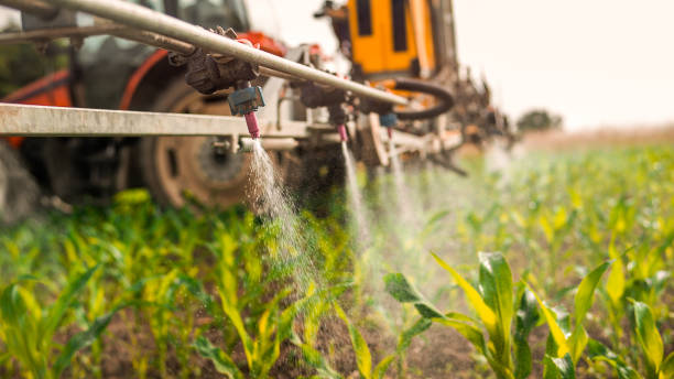 Best Residential Pest Control  in Yankton, SD